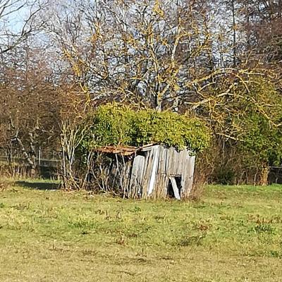 Whatsapp Bild 2024 05 26 Um 14.44.18 D65669b9
