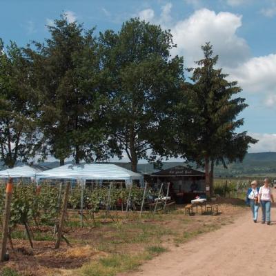 Kulinarische Weinwanderung 1 20131102 2048610956