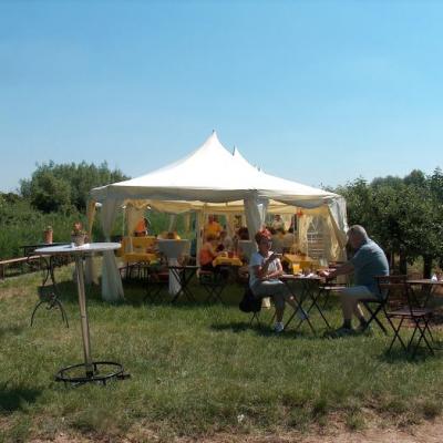 Kulinarische Weinwanderung 18 20131102 1440277157