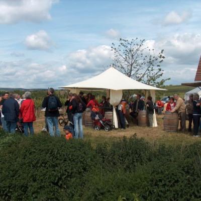 Kulinarische Weinwanderung 5 20131102 1152361408